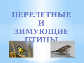 Тема: "Перелетные и зимующие птицы родного края" Тема: "Перелетные и зимующие птицы родного края".