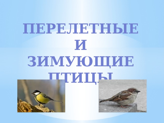 Тема: "Перелетные и зимующие птицы родного края" Тема: "Перелетные и зимующие птицы родного края".